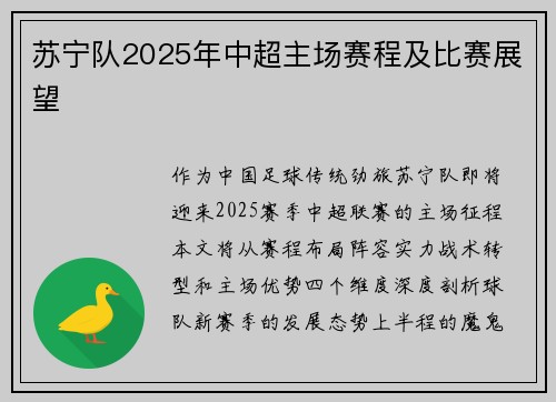 苏宁队2025年中超主场赛程及比赛展望